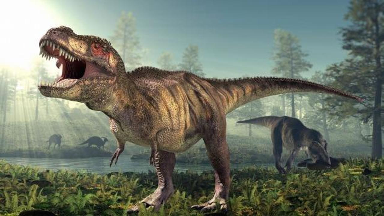 T-Rex dinozorlar hakkında çarpıcı gerçek ortaya çıktı