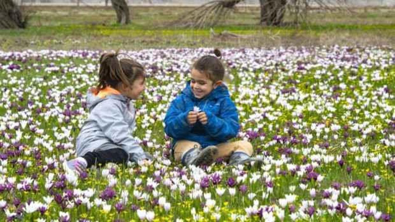 Tunceli ovaları rengarenk &ccedil;i&ccedil;eklerle dolu