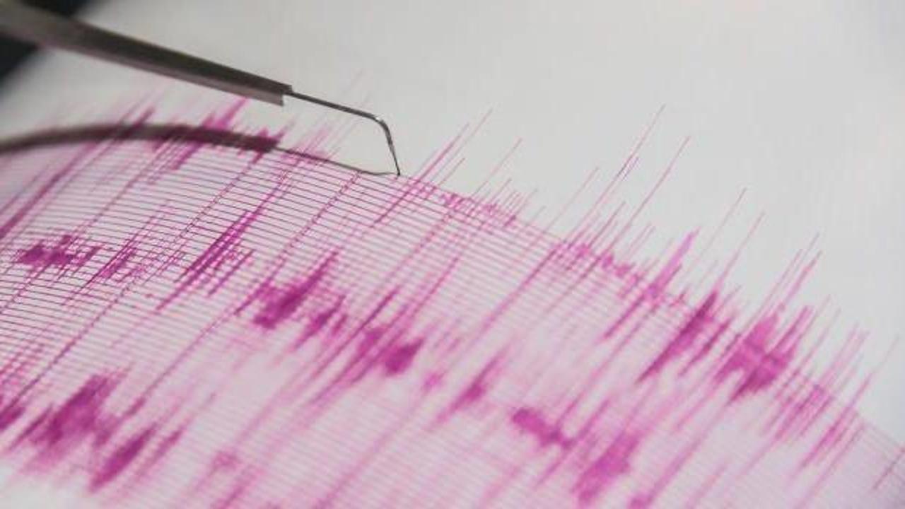 Hindistan'da 6 büyüklüğünde deprem