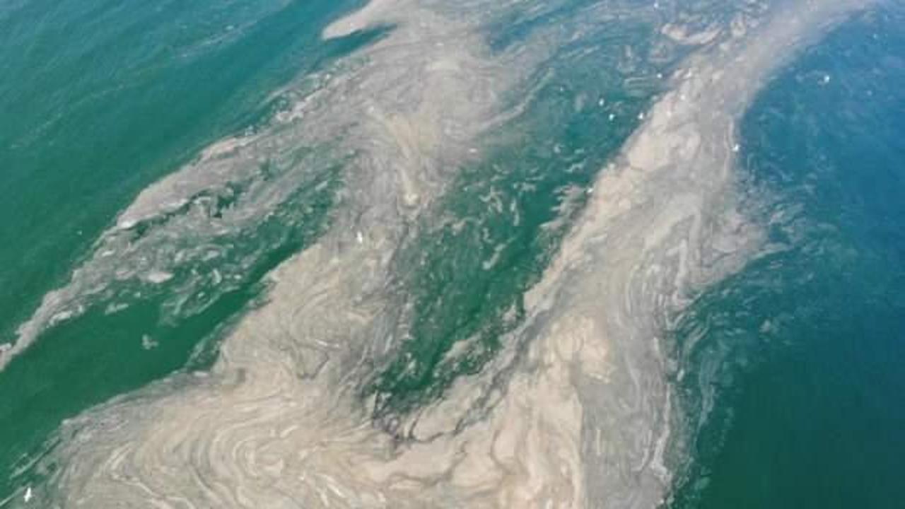 Deniz salyası Çanakkale'de de görüldü: Balıkçılığı tehdit ediyor
