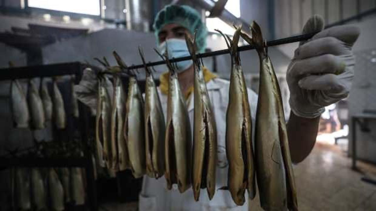 Gazze'de bayram sofralarını süslemeye hazırlanıyor