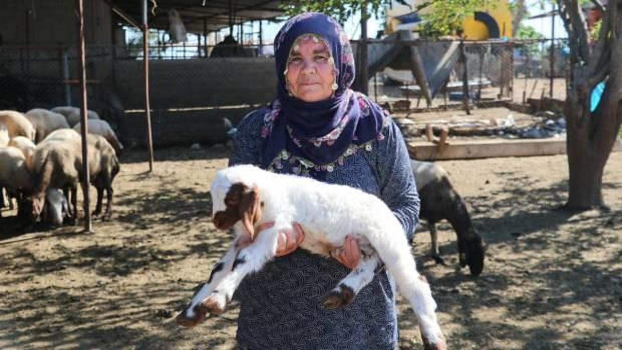 Bakanın hediyesi 40&rsquo;tı 80 oldu