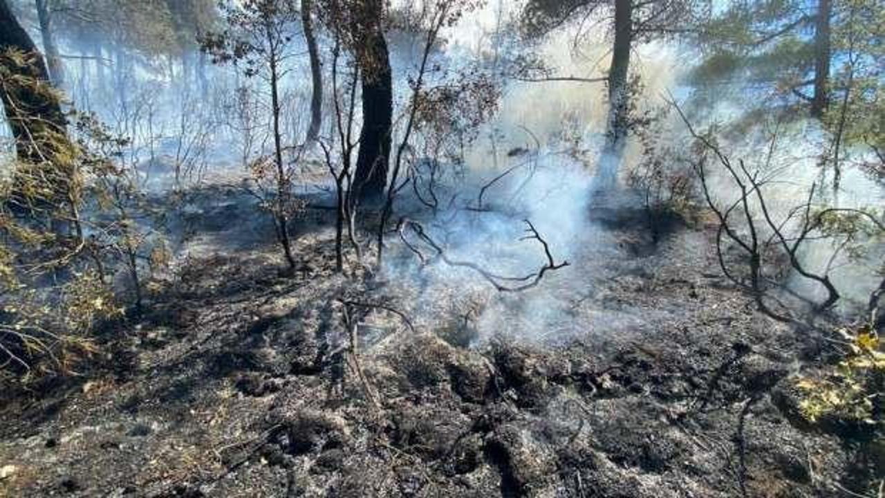 Denizli’deki orman yangınıyla ilgili 2 kişi gözaltına alındı