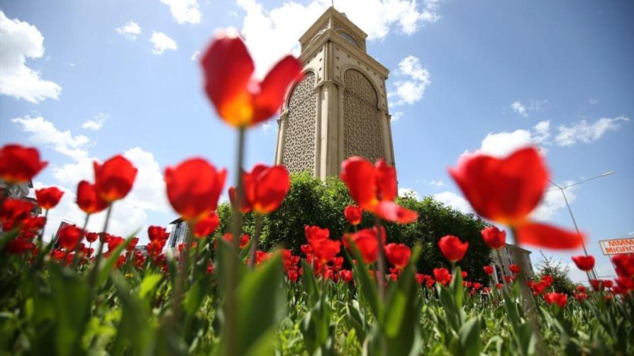 Erzurum'un tarih kokan sokakları bahar renklerine büründü