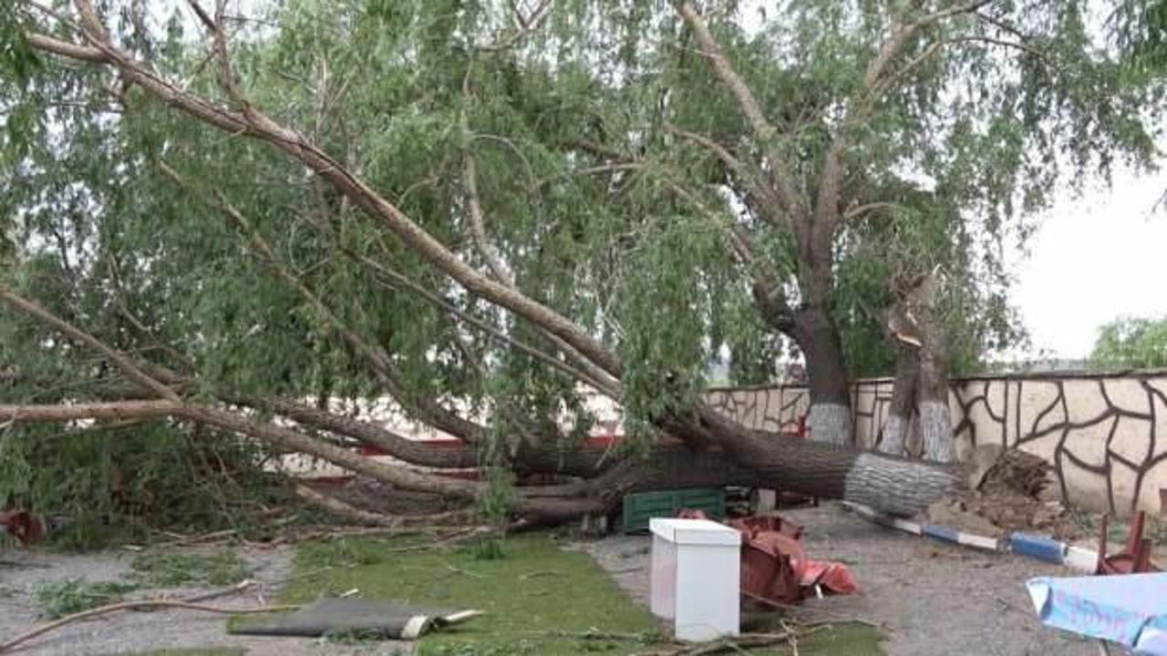 Kırıkkale'de 'toz fırtınası' etkili oldu: Çatılar uçtu, ağaçlar kökünden söküldü