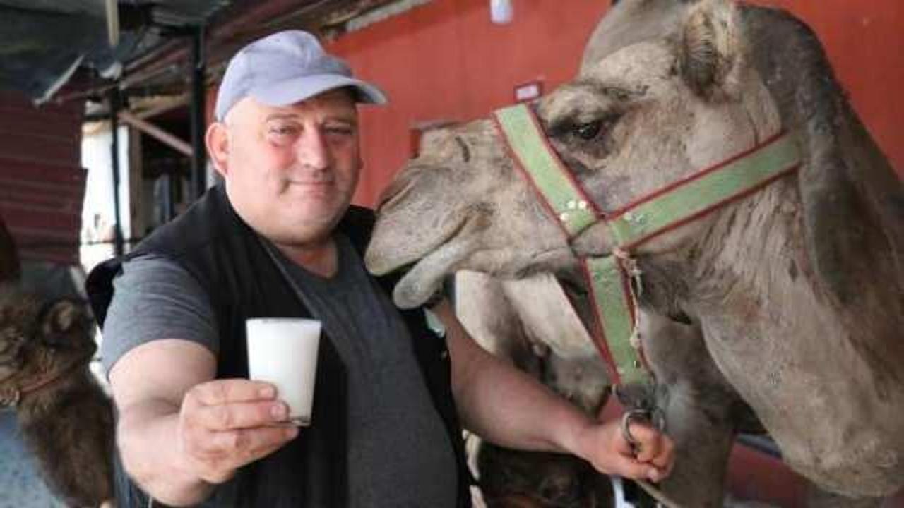 Koronavir&uuml;s d&ouml;neminde, deve s&uuml;t&uuml;ne talep patlaması