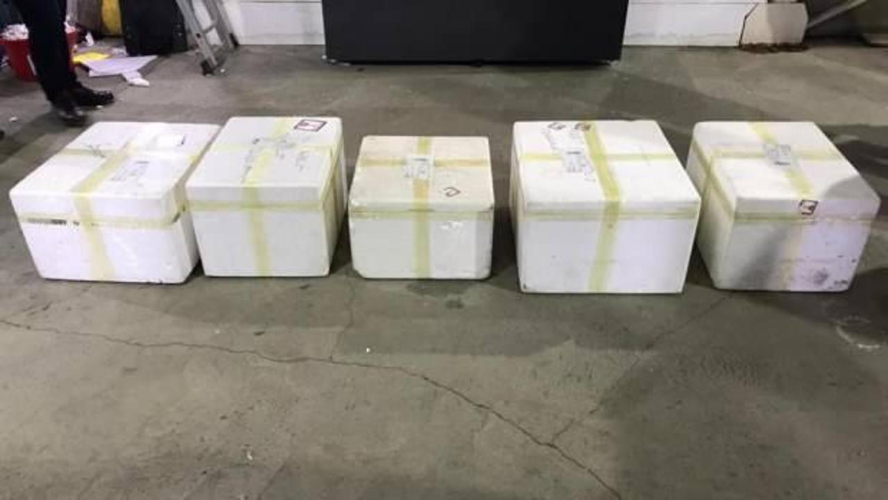 Kargo aracında 40 kilo 304 gram eroin ele geçirildi