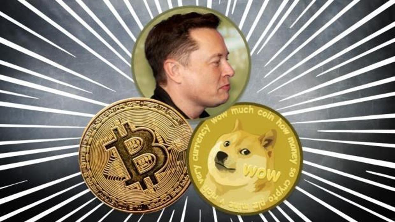 Elon Musk'un desteklediği Dogecoin yatırımcılarını üzdü