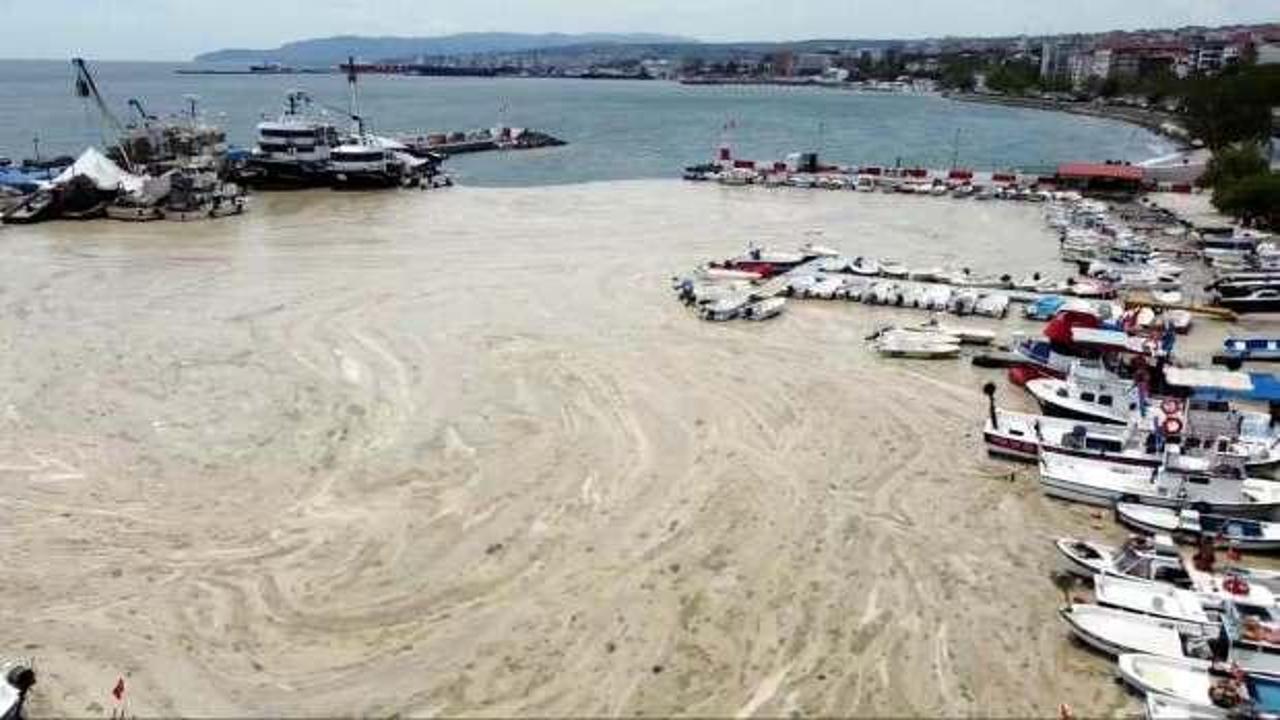 Tekirdağ&rsquo;da balık&ccedil;ıların başı deniz salyasıyla belada