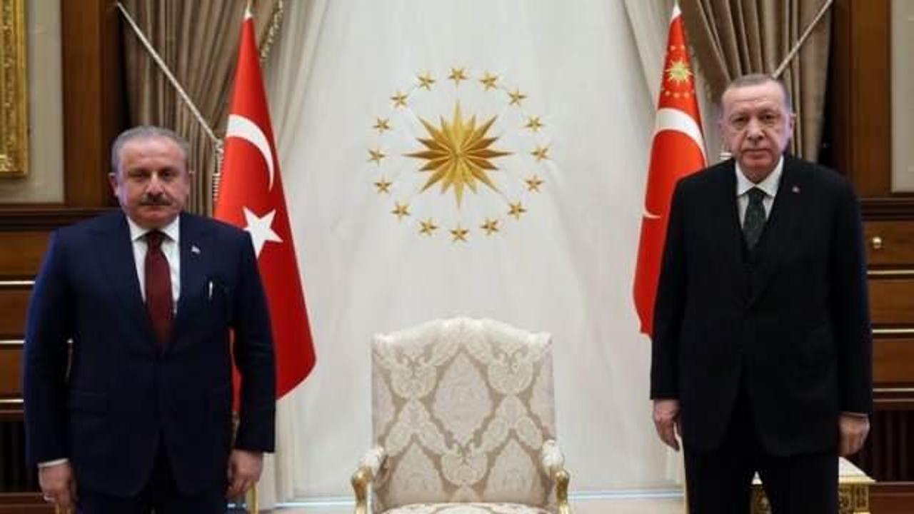 Başkan Erdoğan Meclis Başkanı Şentop'u kabul etti