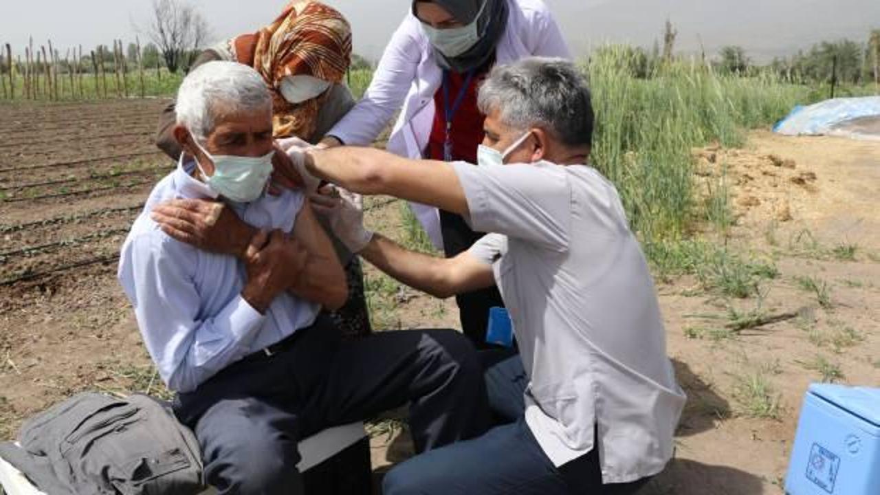 Erzincanlı çiftçiler hastaneye gidemedi, mobil aşı ekipleri tarlada aşı yaptı