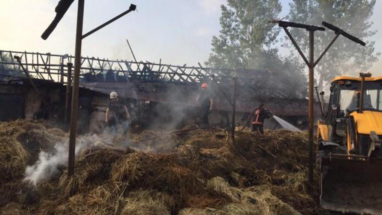 Çiftlikteki yangında 4 büyükbaş hayvan telef oldu, yüzlerce saman yandı