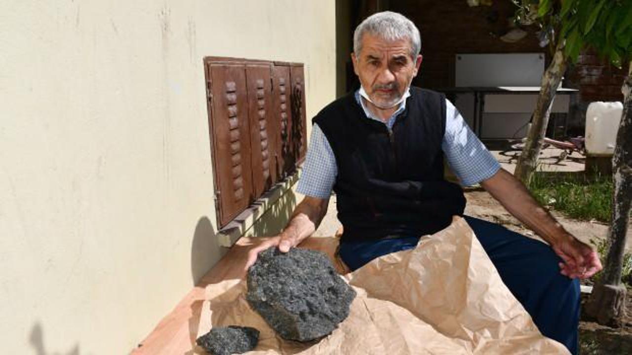  3 aydır hayalini kuruyordu, kekik toplarken buldu