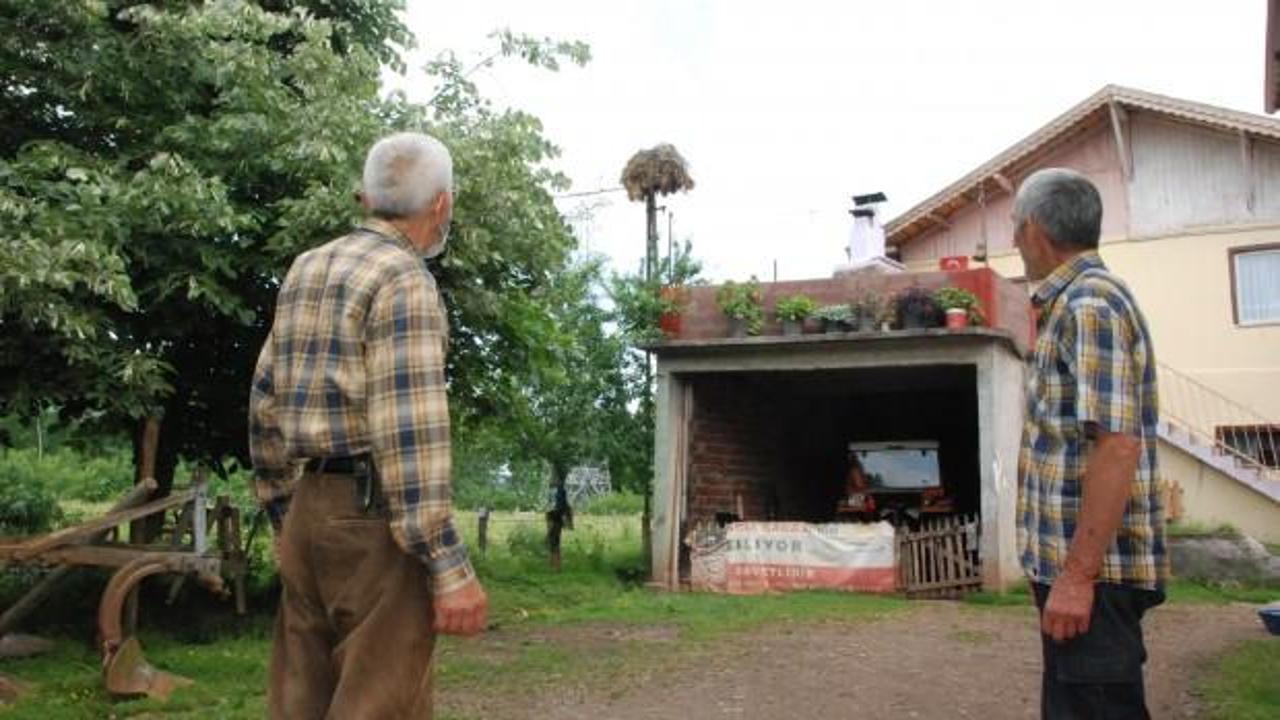 6 yıldır aynı yere yuva yapıyor, k&ouml;y&uuml;n maskotu oldu