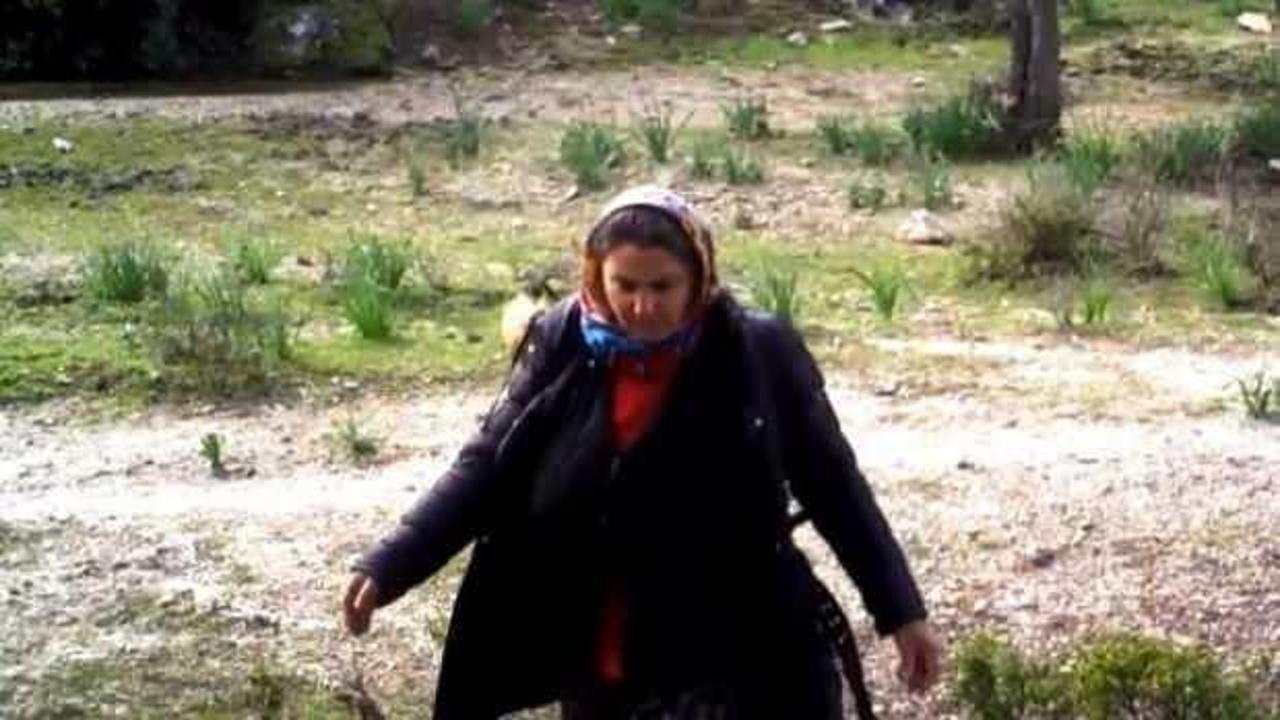 Fotokapan &ouml;yle bir g&ouml;r&uuml;nt&uuml; kaydetti ki! Kimse ne yaptığını anlayamadı