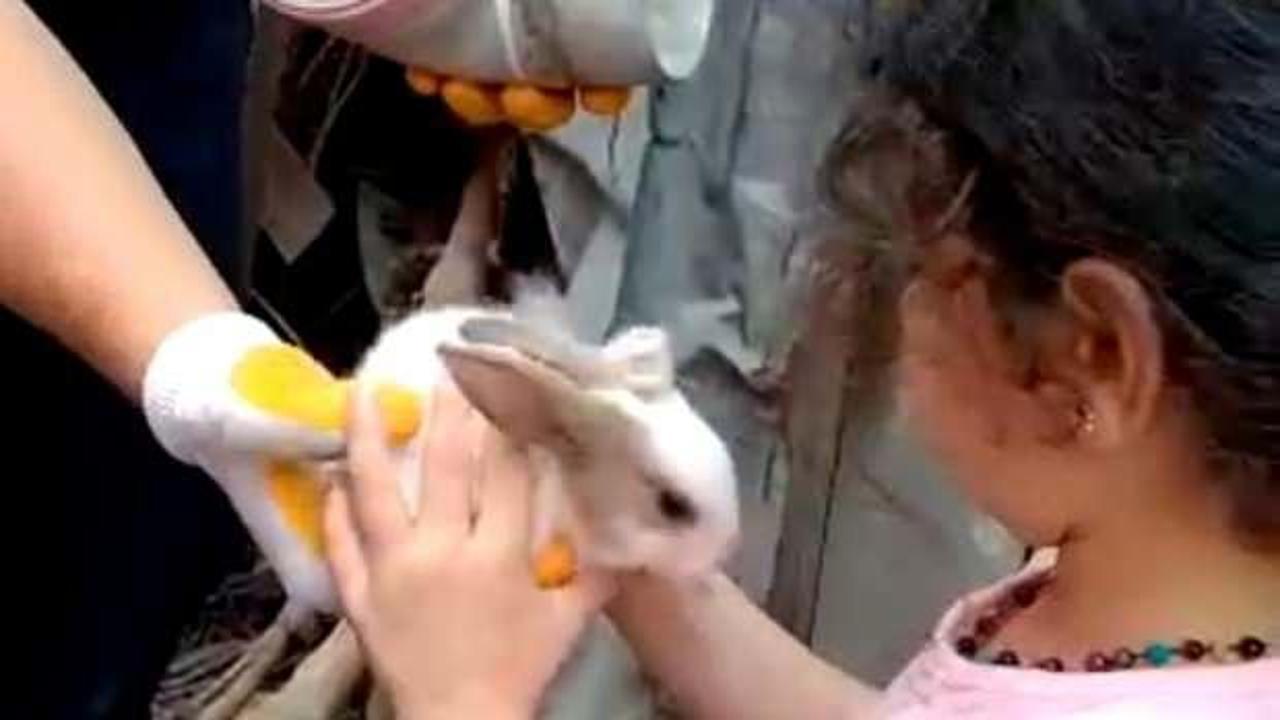 Mahsur kalan tavşanların imdadına itfaiye yetişti