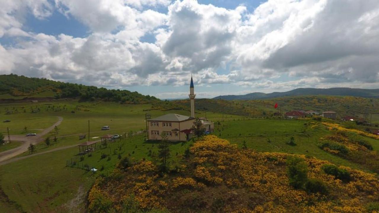 Ordu'nun doğa harikası yaylası orman gülleriyle cezbediyor