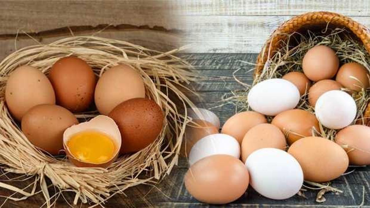 Organik yumurta nasıl ayırt edilir? - Haber 7 SAĞLIK
