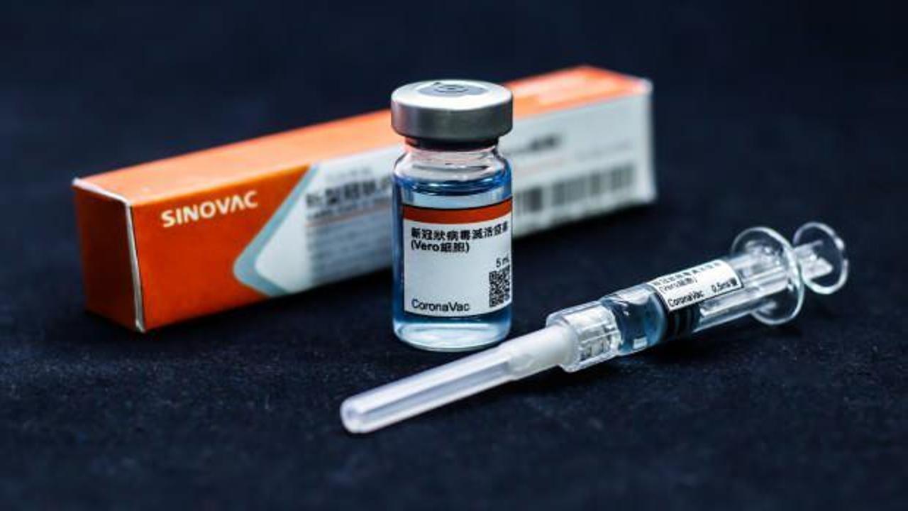 Sürü bağışıklığı testi: Türkiye'nin de kullandığı Sinovac aşısı salgını durdurdu