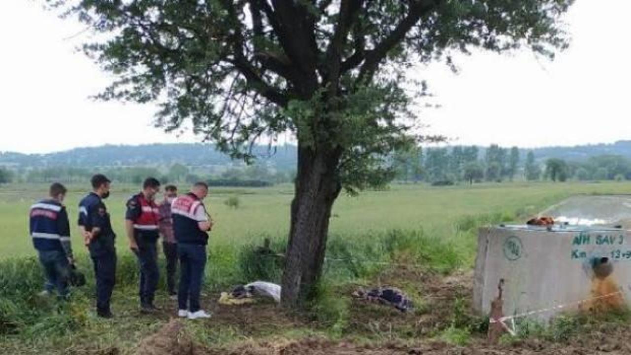 Ağacın altındayken yıldırım isabet eden kadın hayatını kaybetti