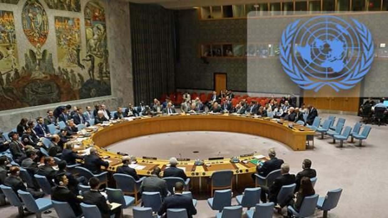 BM Güvenlik Konseyi'ne 5 yeni geçici üye seçildi