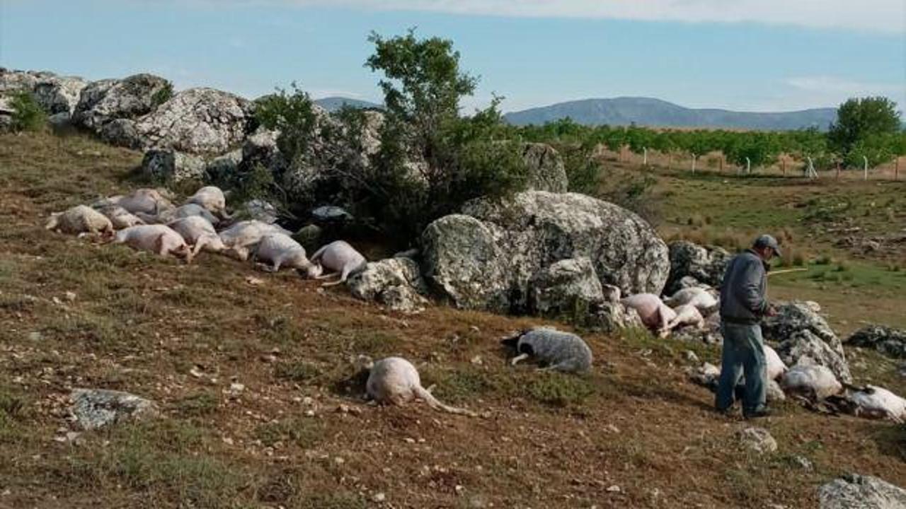 Burdur'da yıldırım isabet eden 23 koyun telef oldu