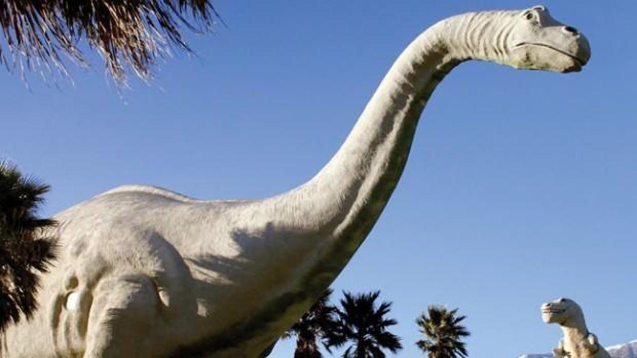 Dünyanın en büyük dinozorlarından biri keşfedildi: 30 metre boyunda