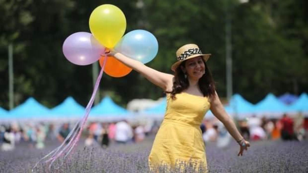 Lavanta tarlaları fotoğraf st&uuml;dyosuna d&ouml;n&uuml;şt&uuml;