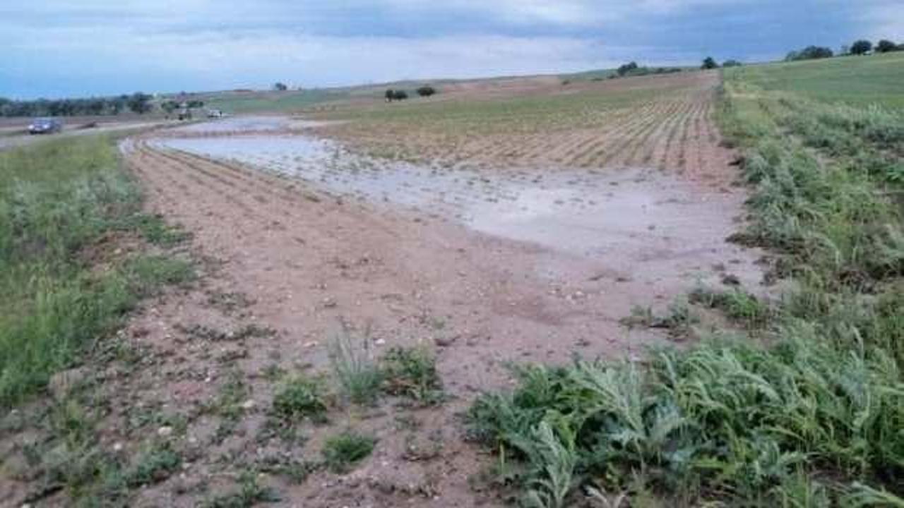 Yozgat'ta sel ekili tarım alanlarına zarar verdi 
