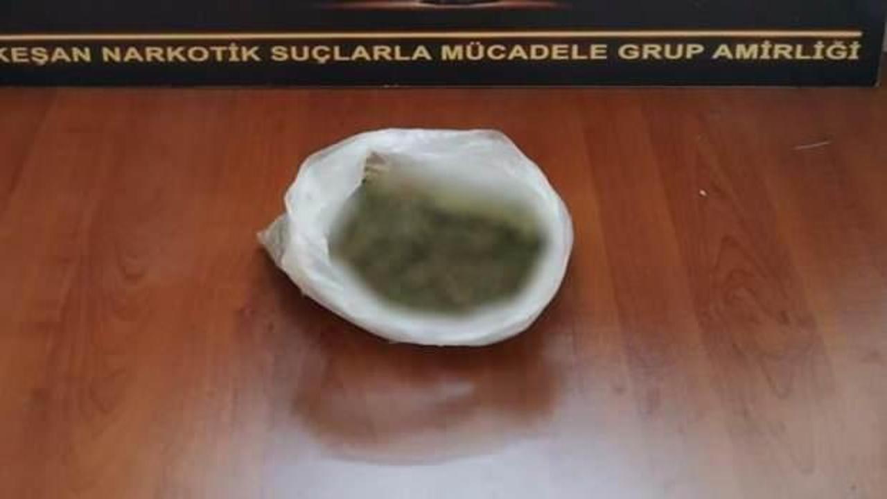 Bonzai operasyonu! 110 gram ele geçirildi