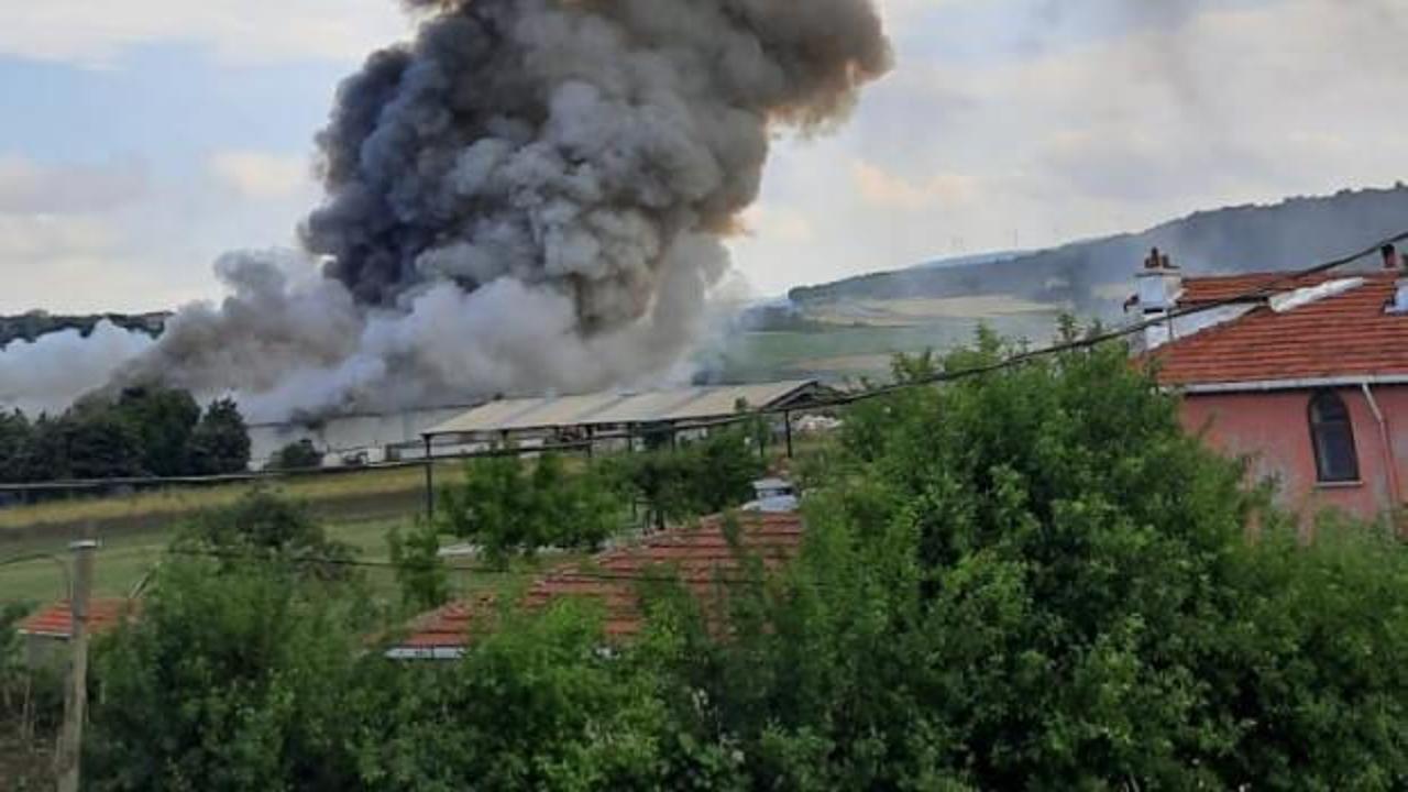 Çatalca’da büyük fabrika yangını