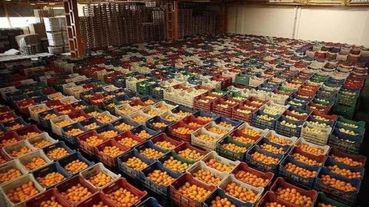 Ege Yaş Meyve Sebze İhracatçıları Birliği rekor ihracat bekliyor