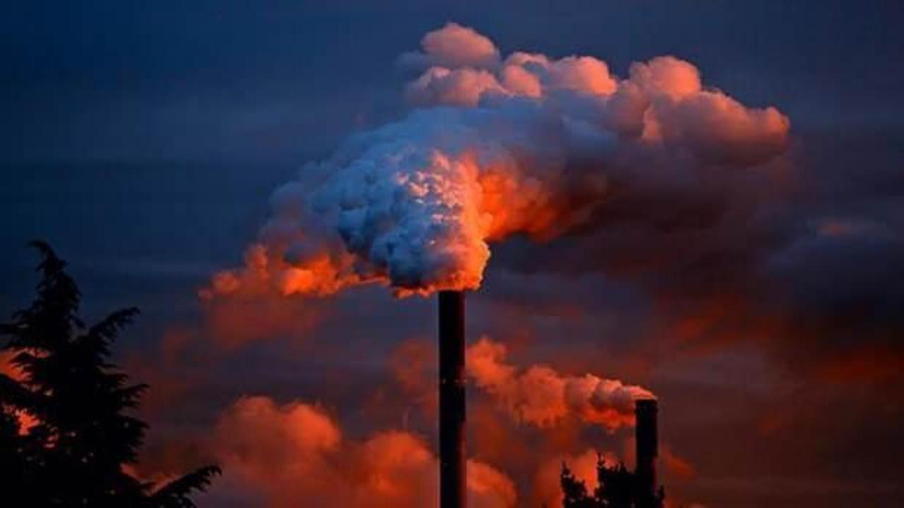 Fosil yakıtlar, enerji tüketimindeki yerini korudu