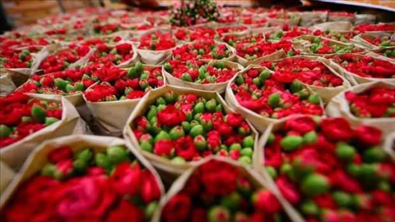 Kesme çiçek sektörü 500 milyon dolarlık ihracat hedefliyor