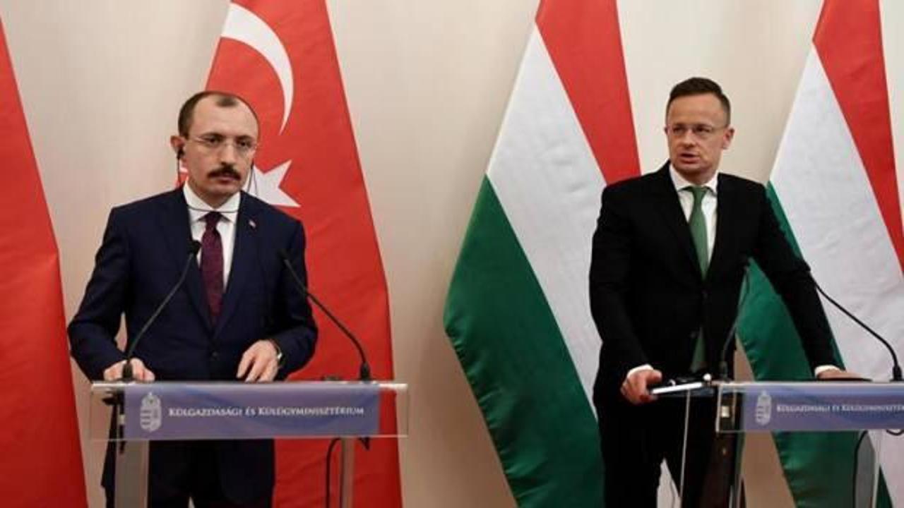 Macaristan'dan, Türkiye'ye Gümrük Birliği desteği