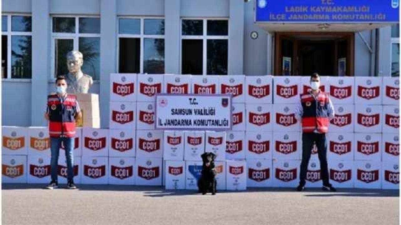Samsun'da kaçak makaron operasyonu: 33 gözaltı
