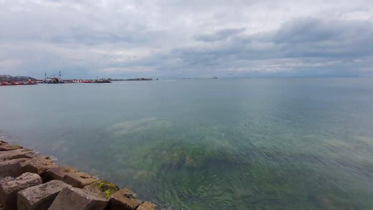 Tekirdağ&rsquo;da deniz cam gibi, yağış m&uuml;silajı temizledi   