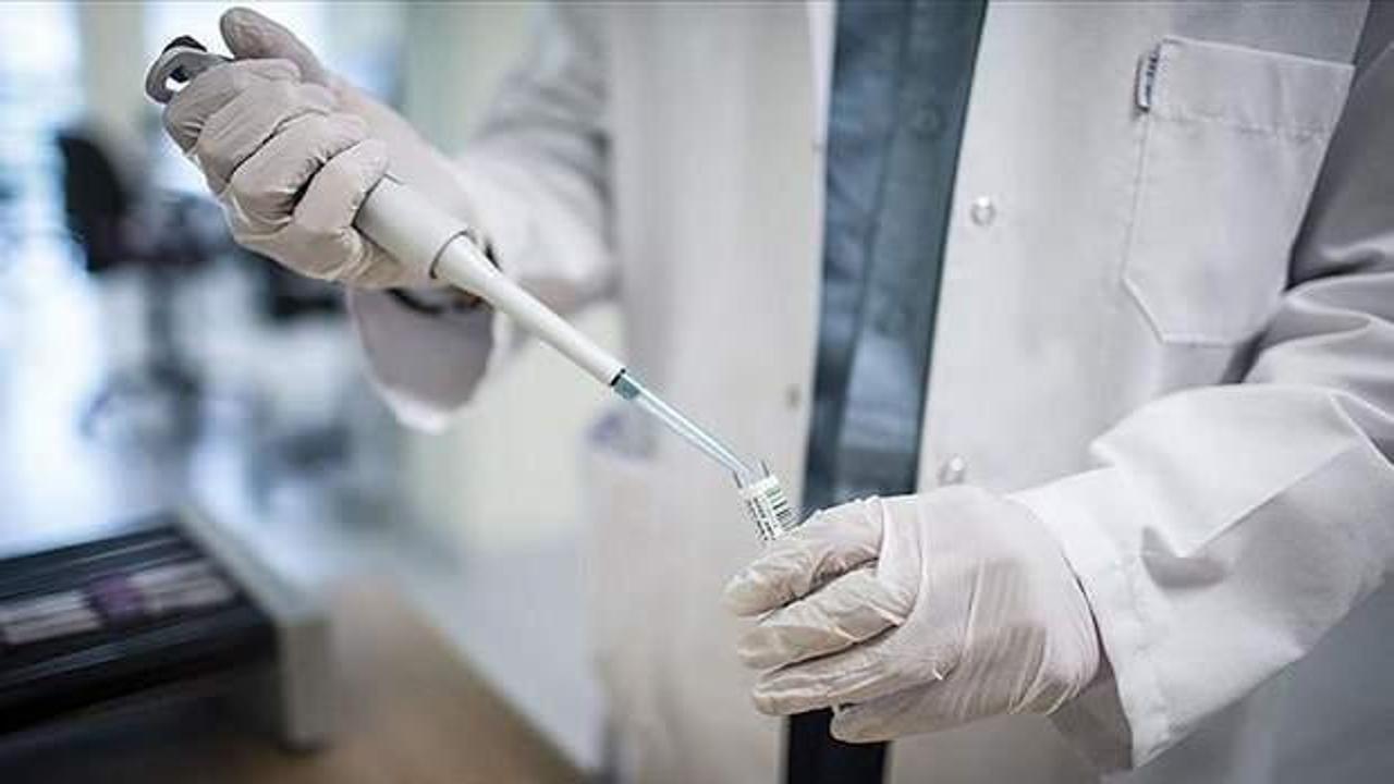 Bilim insanları, 218 gündür koronavirüsü atlatamayan kişiyi araştırdı