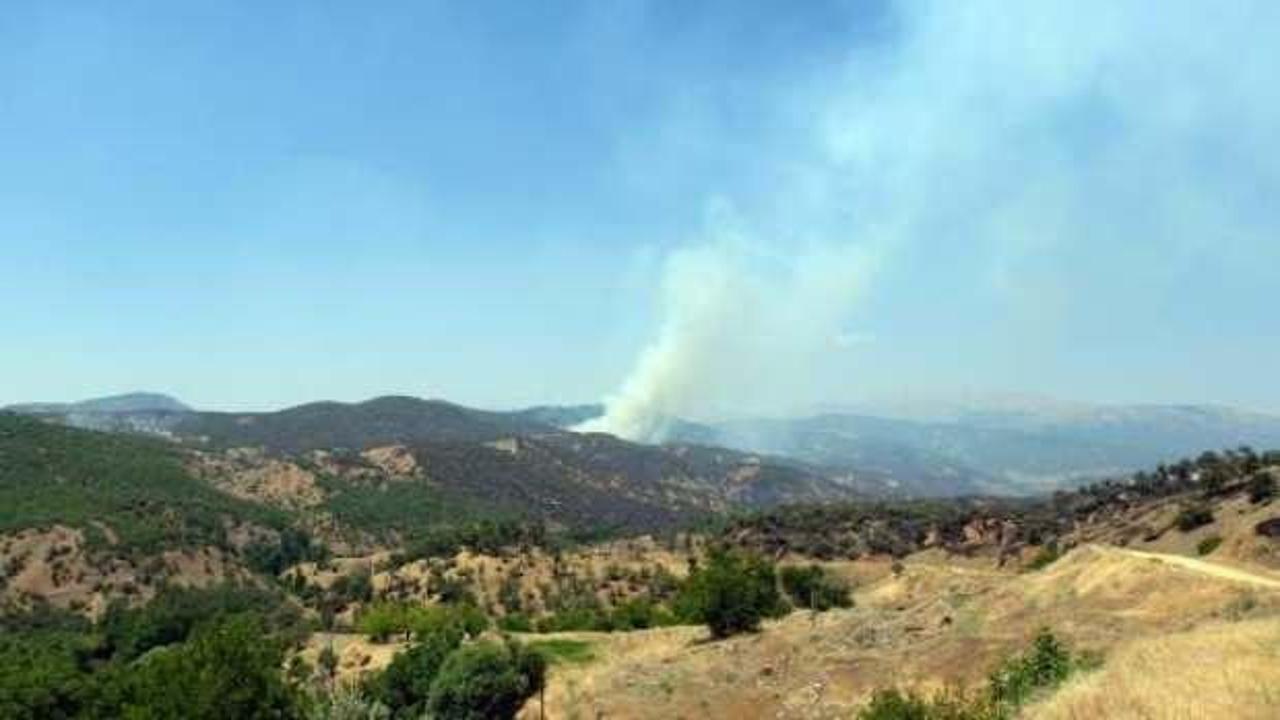 Bingöl’deki orman yangını 3 gündür devam ediyor