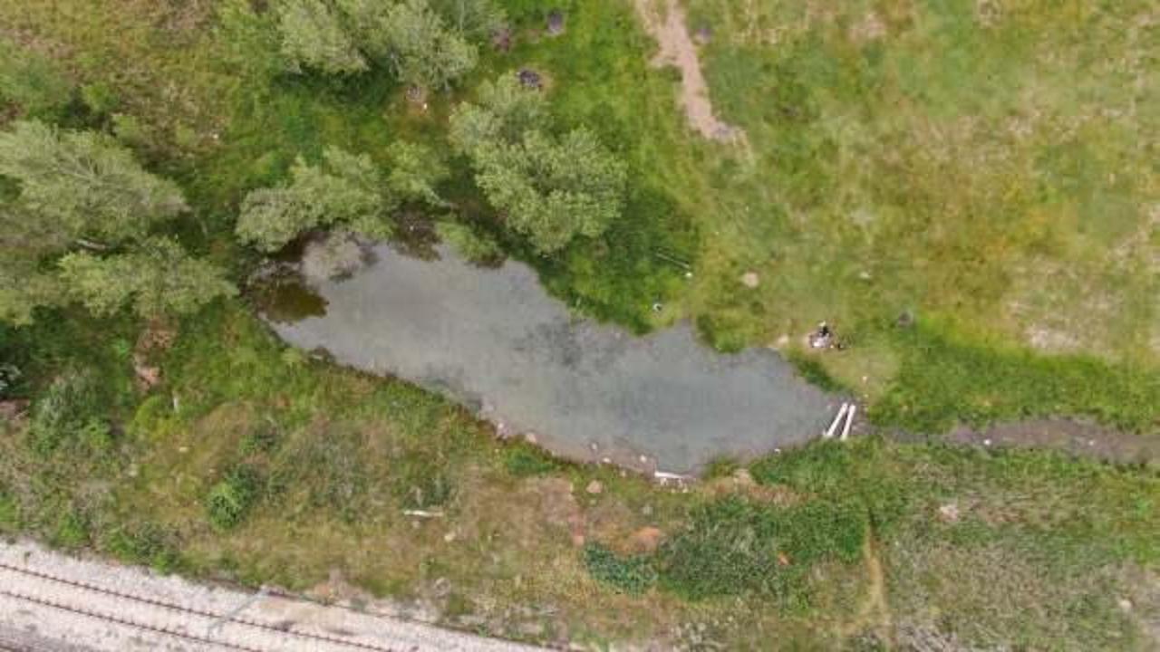 Dünyada tekti, ikizi çıktı! Hastalara şifa dağıtıyor  