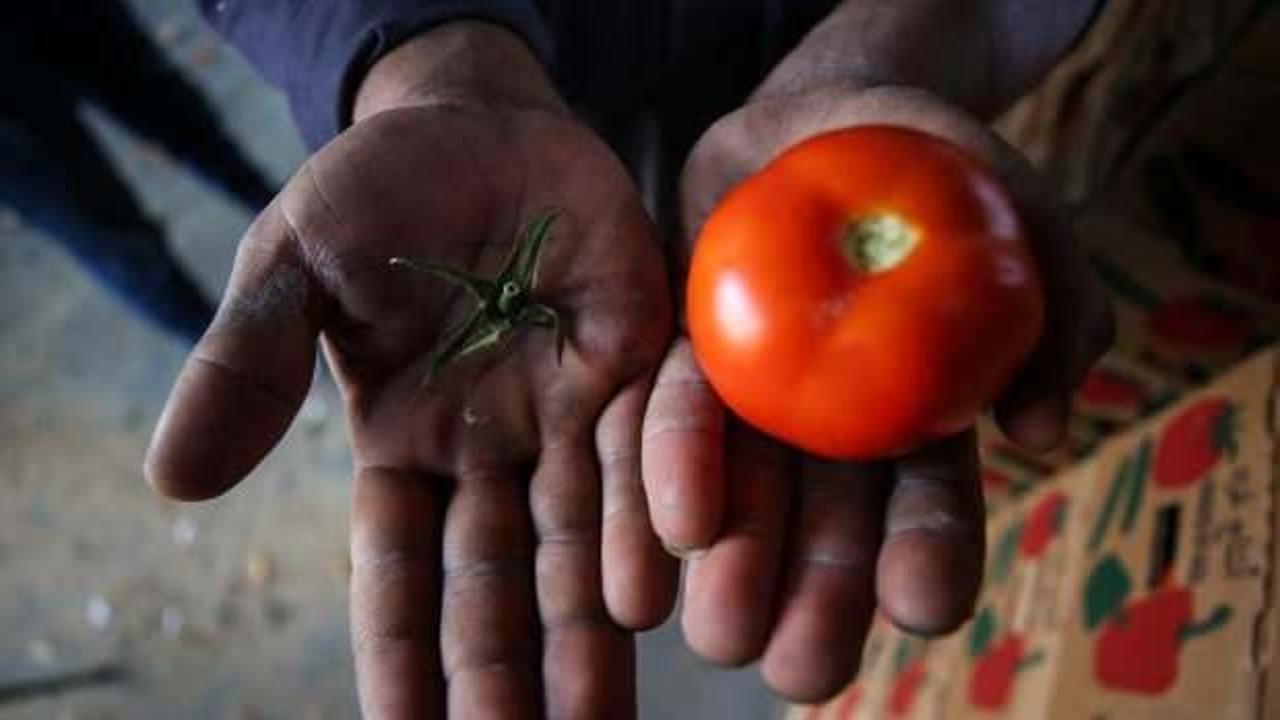 İsrail'den Gazzelilere sapsız domates zulmü