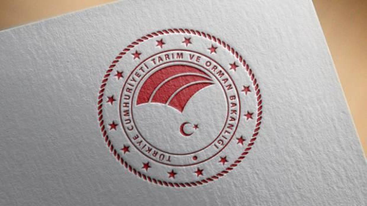 Tarım ve Orman Bakanlığı'ndan, Türkiye'nin "büyükbaş hayvan varlığı" açıklaması