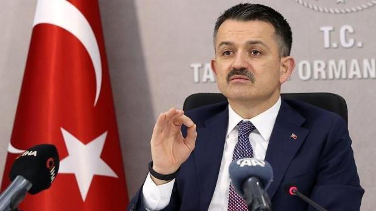 Bakan Pakdemirli: TMO fındık alım fiyatları için çalışma yapıyoruz