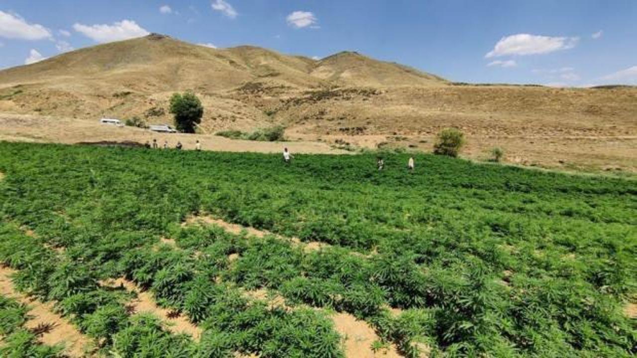 PKK'nın finans ayağına &ccedil;ok ağır darbe