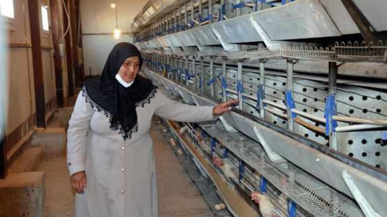 Tavukları ölen kadın girişimciye 5 bin hayvanla destek