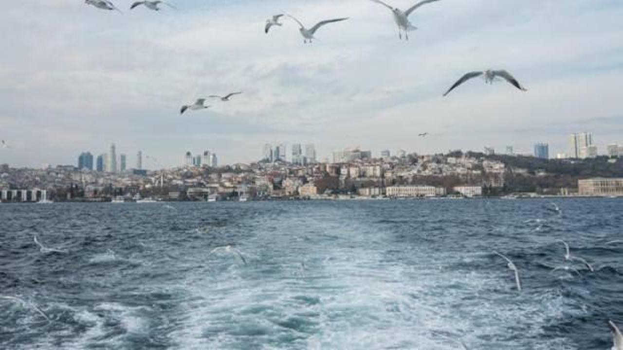 Marmara'da balıklar görünmeye başladı