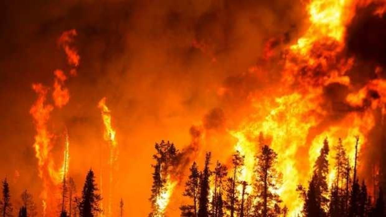 Orman yangınları teknolojiyle takip edilecek