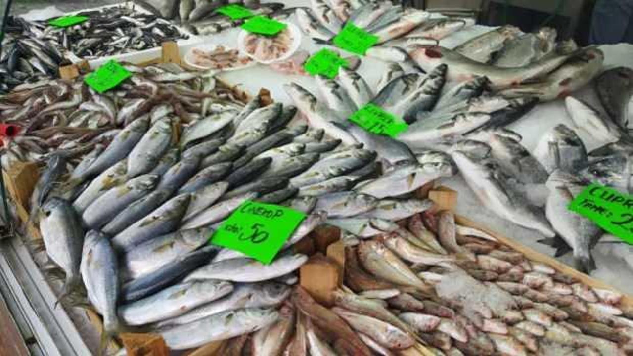 Tezgahtaki en pahalı balık Çinekop oldu