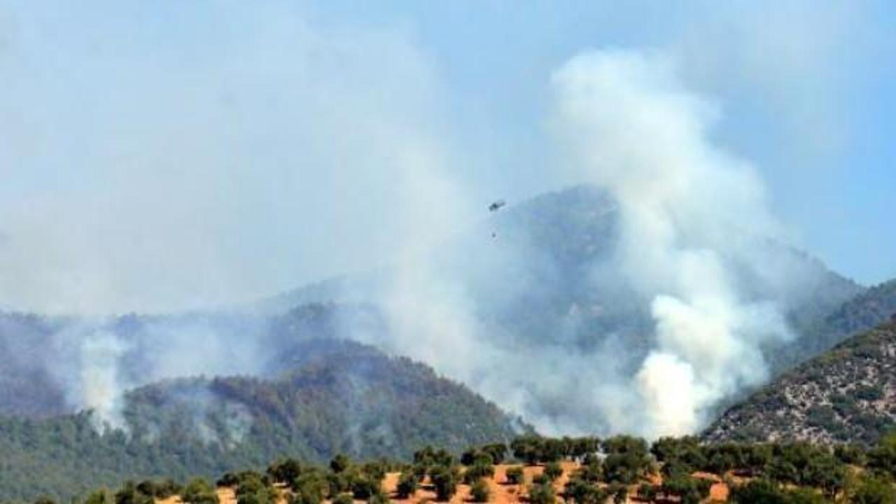 Hatay’daki yangın halen devam ediyor! Ekipler teyakkuzda