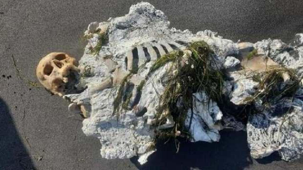 Samsun'da insan iskeleti kıyıya vurdu! Gizemi araştırılıyor